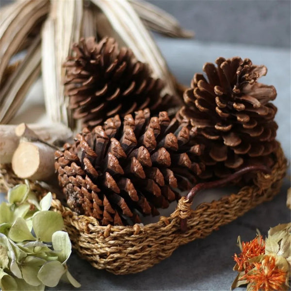 Pine cone Christmas tree decor ( set of 4 )